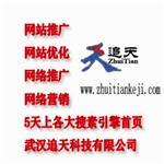 武汉市追天科技有限公司官方首页-武汉营销型网站推广